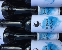 T O F R E E  – Craftbeer